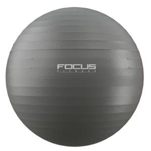 Gym Ball Focus Fitness 75 cm.