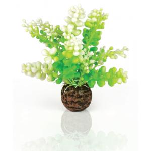 BiOrb groene decoratie voor aquarium.