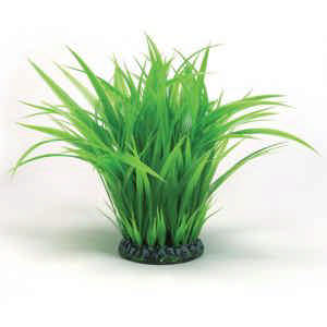 BiOrb grasring, groot groen decoratie.