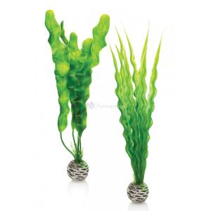 BiOrb plantenmedium, groene aquariumdecoratie.