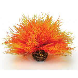 BiOrb zeelelie vuur aquarium decoratie