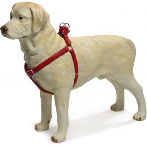 Honden tuig Mac Leer 35-60cm, rood.