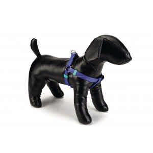 Honden tuig 35-60cm, blauw.