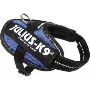 Julius K9 Powertuig Baby 33 blauw