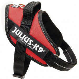 Julius K9 Powertuig Mini Rood