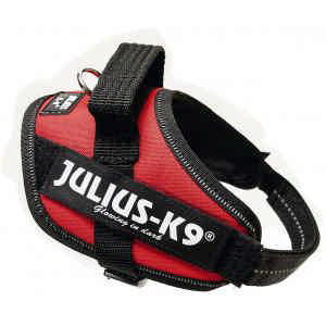 Julius K9 Mini Powertuig, rood