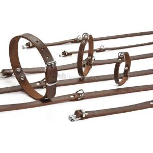 Bruine leren hondenhalsband 37 cm
