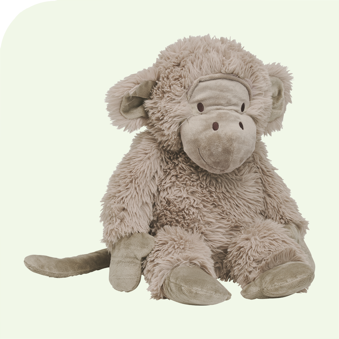 monkey Miso