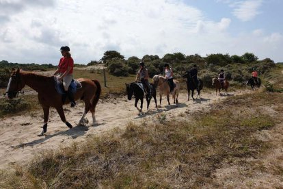 Paardrijden in de duinen