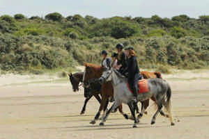 Paardrijden op het strand