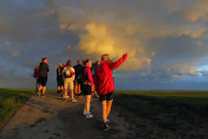 Wadlopen en hotelovernachting