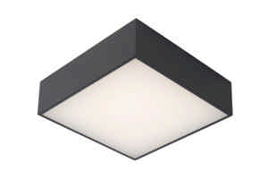 Lucide ROXANE - Plafonnière Badkamer - LED - 1x12W 2700K - IP54 - Antraciet