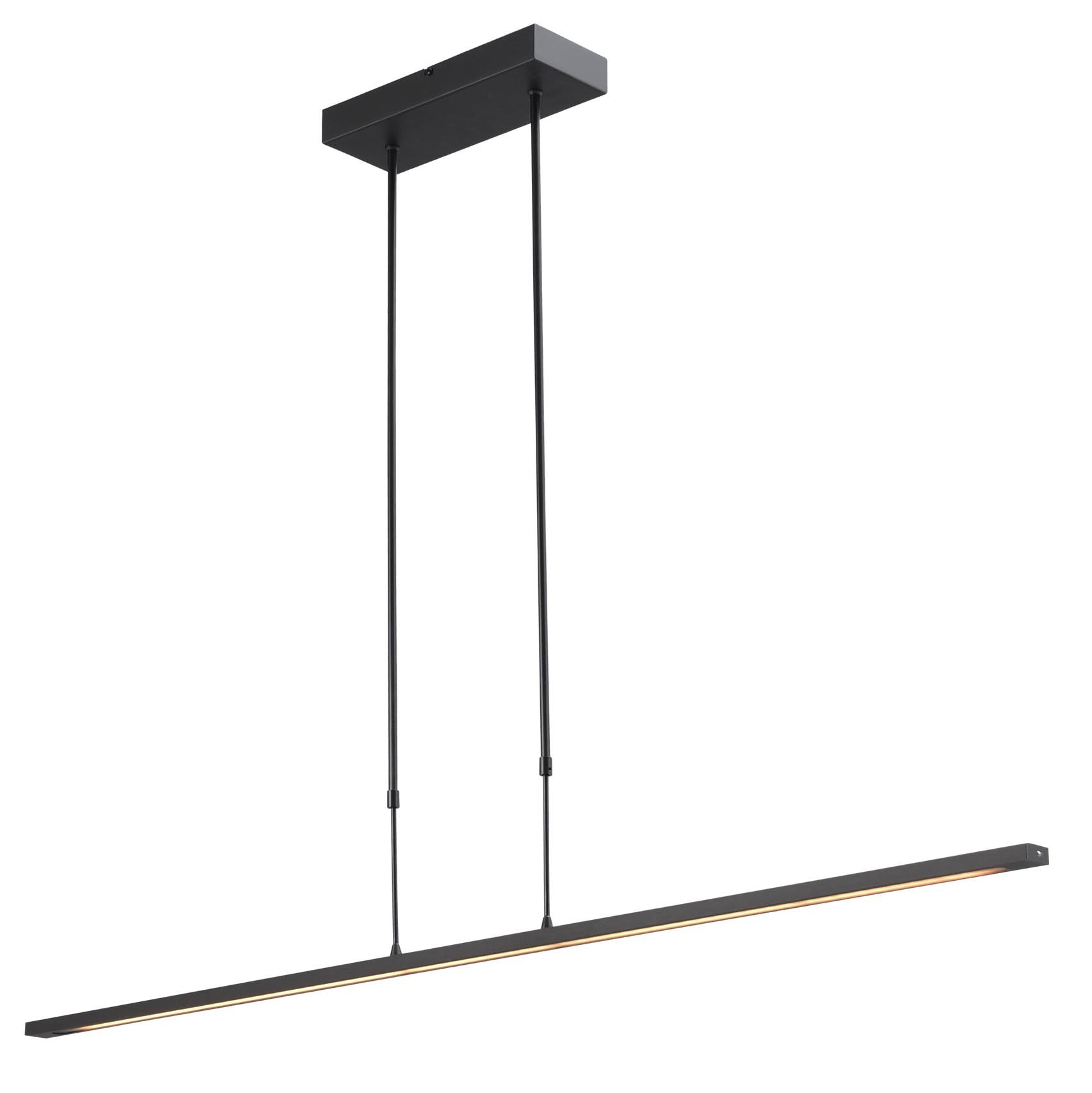 Masterlight Hanglamp Real 2 LED 130 cm zwart nikkel