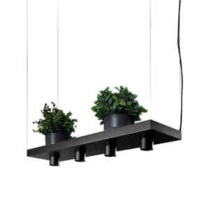 Nowodvorski Hanglamp Plant 4 lichts L 80 cm B 24 cm zwart