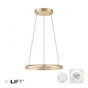 Neuhaus PURE Hanglamp E-Loop e-Lift Ø 70 cm mat goud