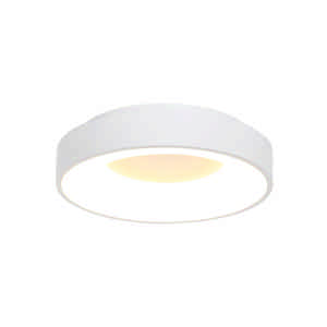 Steinhauer Plafondlamp Ringlede Ø 38 cm 2562 wit