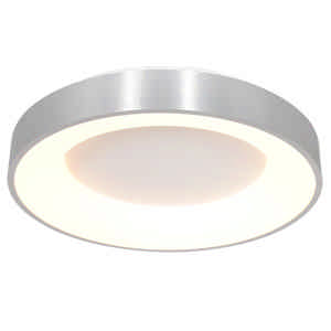 Steinhauer Plafondlamp Ringlede Ø 48 cm 2563 zilver